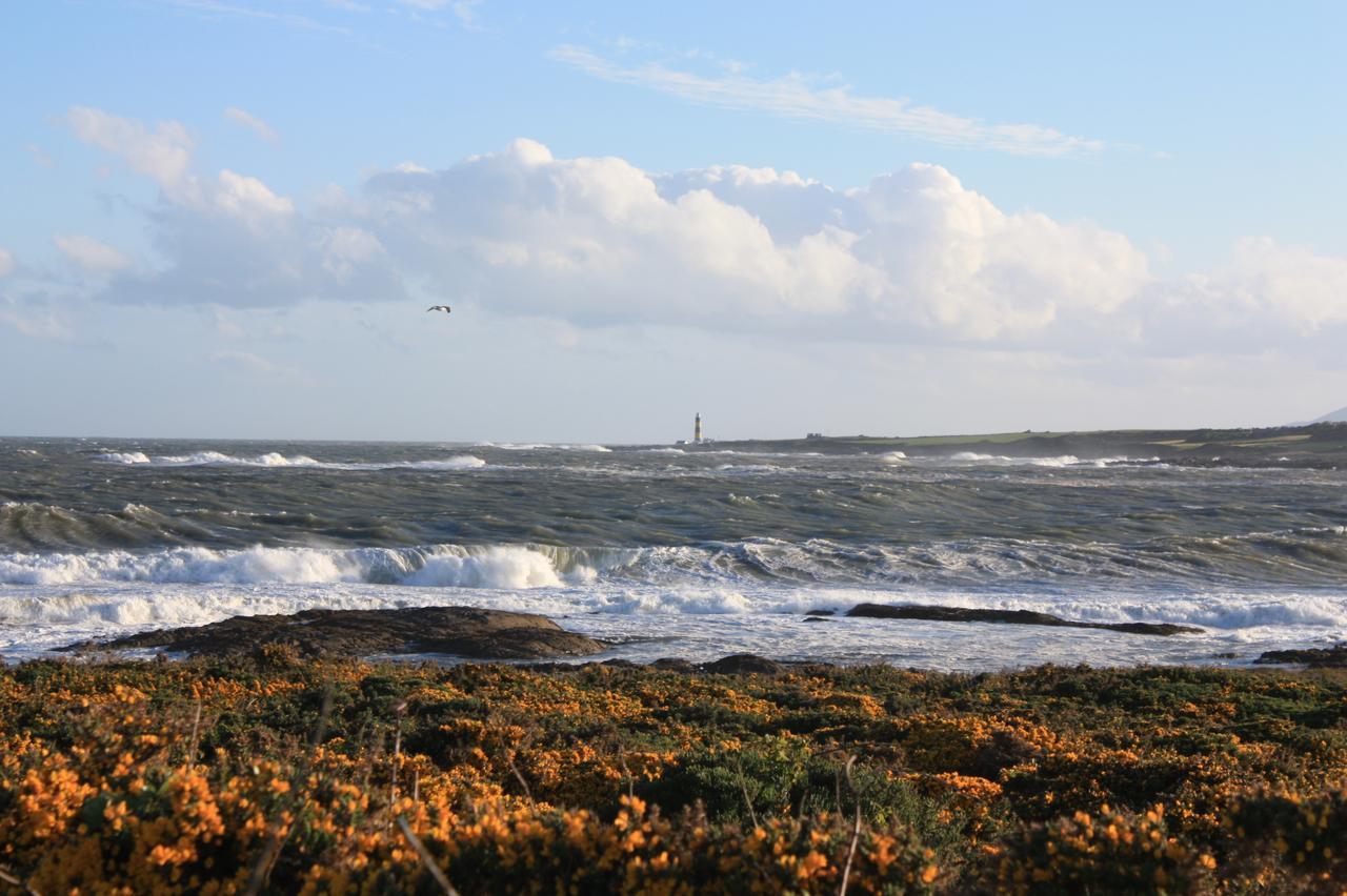 Ringfad B&B Ardglass Dış mekan fotoğraf